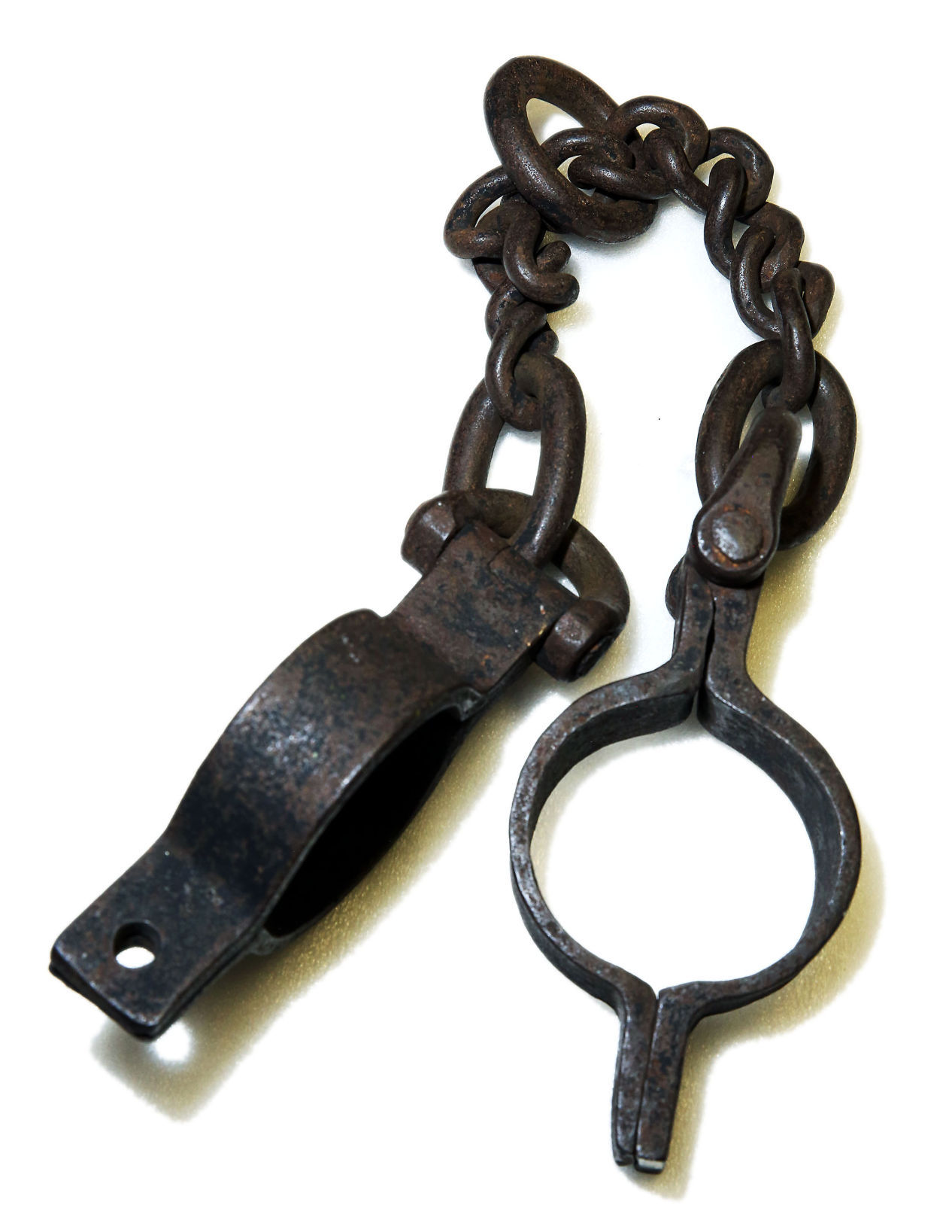 Off Limits: Putnam Museum